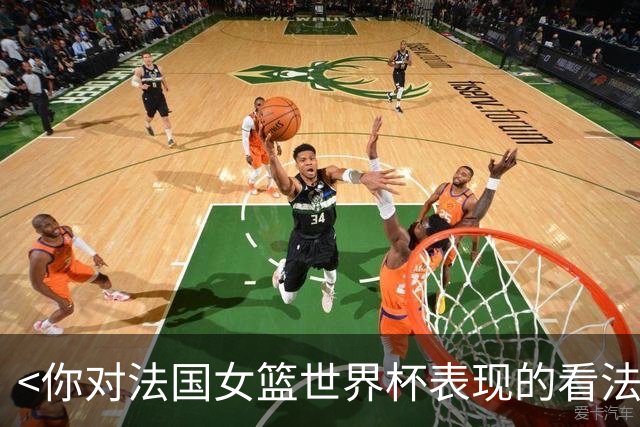 <你对法国女篮世界杯表现的看法是什么?>