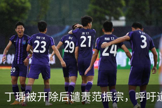 丁瑀被开除后谴责范振宗，呼吁道歉并追求政治和谐
