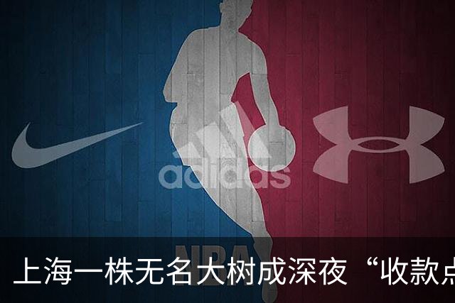 上海一株无名大树成深夜“收款点”，多人投放现金与黄金