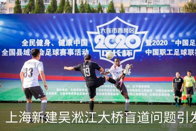 上海新建吴淞江大桥盲道问题引发质疑，建设单位承诺整改