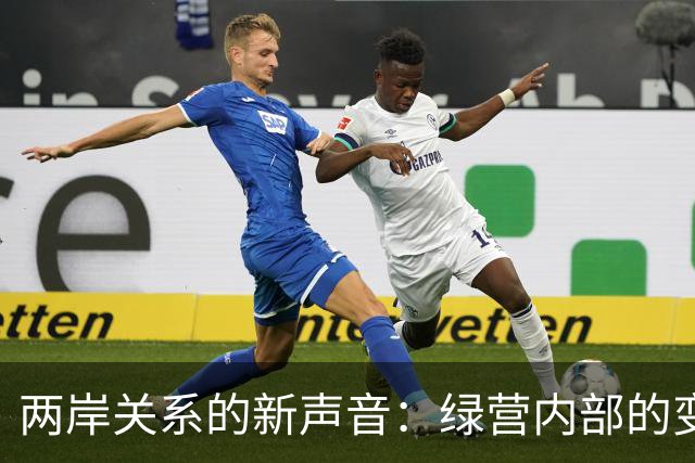 两岸关系的新声音：绿营内部的变化与反思