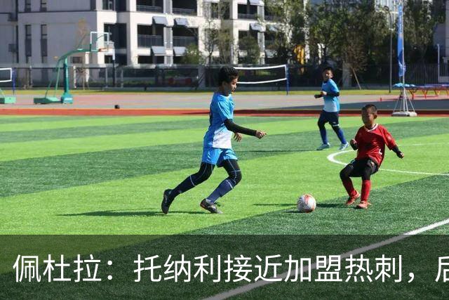 佩杜拉：托纳利接近加盟热刺，后者开出超1亿镑报价