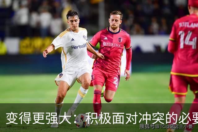变得更强大：积极面对冲突的必要性