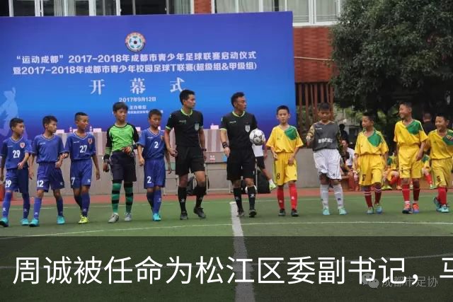 周诚被任命为松江区委副书记，马英俊或将担任新职