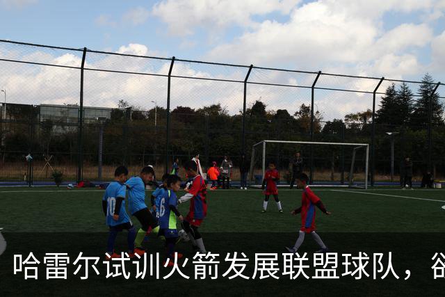 哈雷尔试训火箭发展联盟球队，欲重返NBA