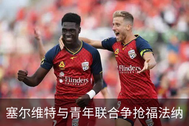 塞尔维特与青年联合争抢福法纳