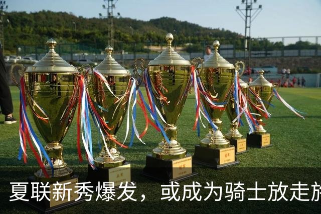夏联新秀爆发，或成为骑士放走施罗德的原因