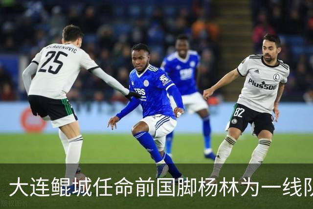 大连鲲城任命前国脚杨林为一线队主教练