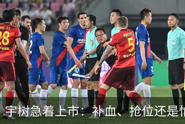 宇树急着上市：补血、抢位还是怕泡沫？