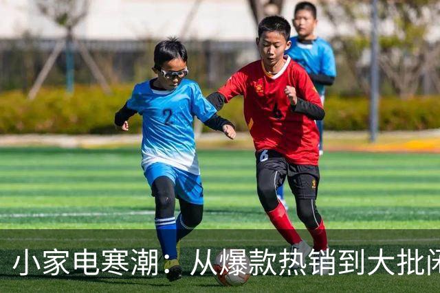 小家电寒潮：从爆款热销到大批闲置
