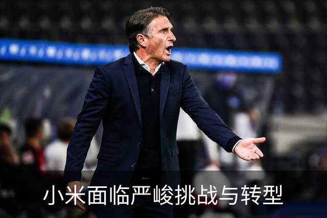 小米面临严峻挑战与转型