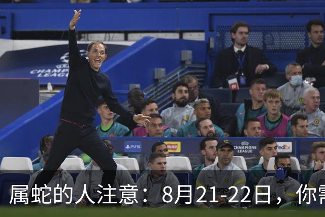 属蛇的人注意：8月21-22日，你需要做出的选择