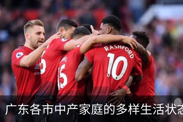广东各市中产家庭的多样生活状态与收入分析