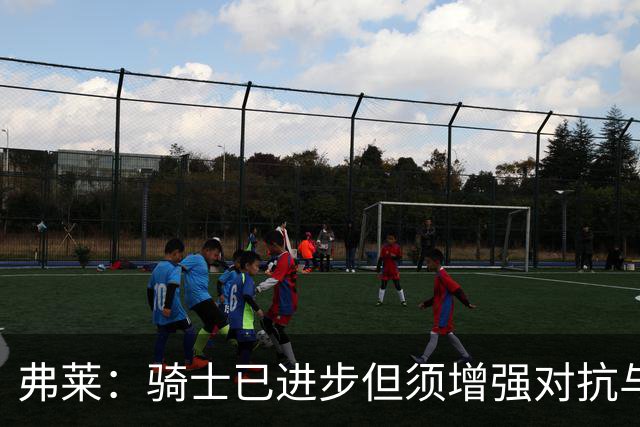 弗莱：骑士已进步但须增强对抗与比赛能量