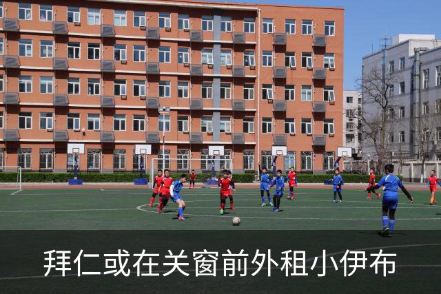 拜仁或在关窗前外租小伊布