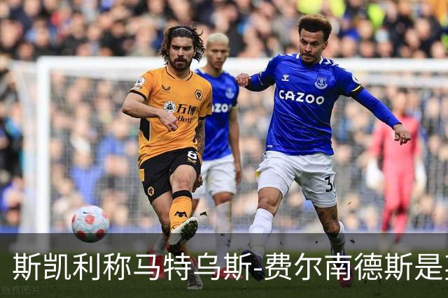 斯凯利称马特乌斯-费尔南德斯是英超最棘手对手