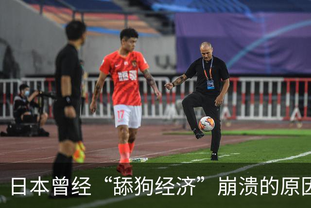 日本曾经“舔狗经济”崩溃的原因探析