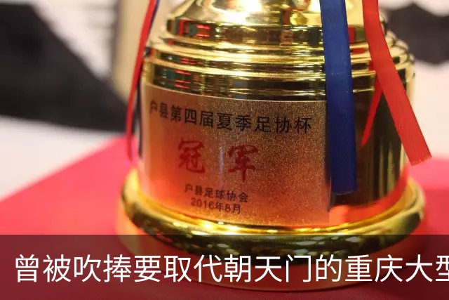曾被吹捧要取代朝天门的重庆大型商贸城，如今成了空城