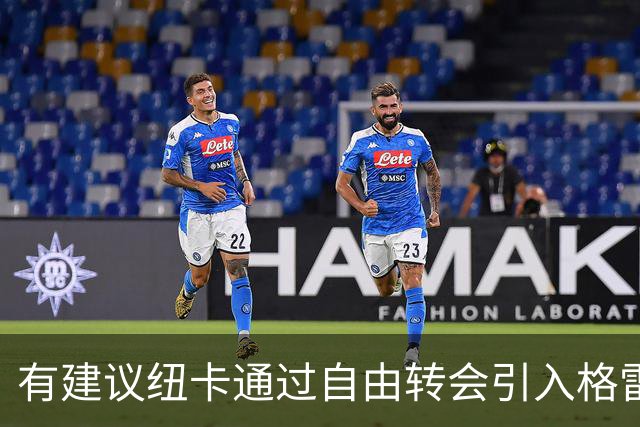 有建议纽卡通过自由转会引入格雷茨卡