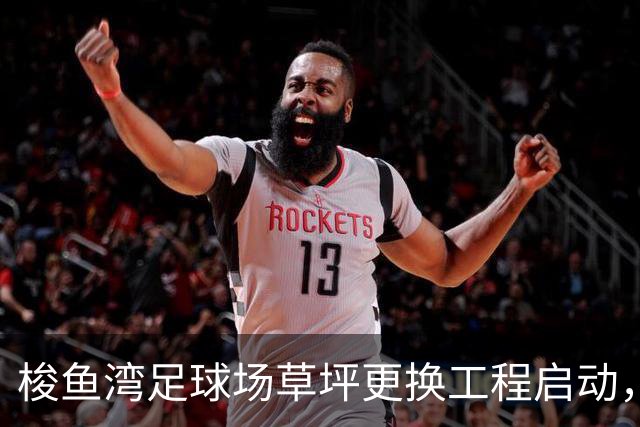 梭鱼湾足球场草坪更换工程启动，预计两周内完成