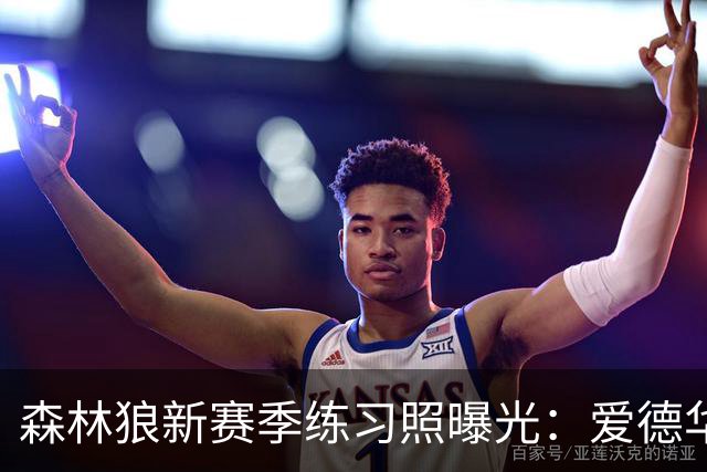 森林狼新赛季练习照曝光：爱德华兹与鲍尔同框
