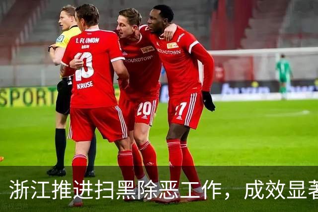 浙江推进扫黑除恶工作，成效显著