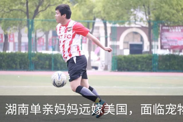 湖南单亲妈妈远嫁美国，面临宠物狗的挑战