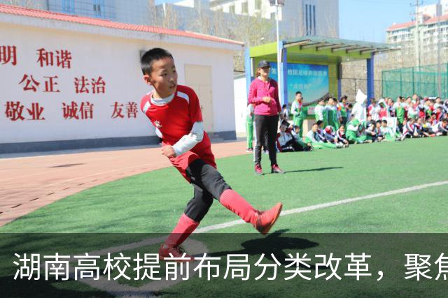 湖南高校提前布局分类改革，聚焦科研与产业发展