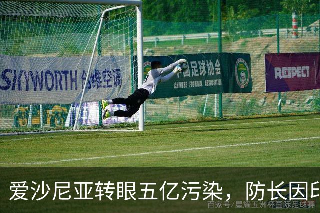 爱沙尼亚转眼五亿污染，防长因印度军购丑闻辞职
