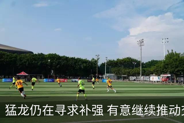 猛龙仍在寻求补强 有意继续推动交易