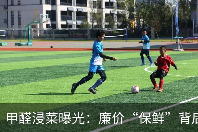甲醛浸菜曝光：廉价“保鲜”背后的监管漏洞与受害者