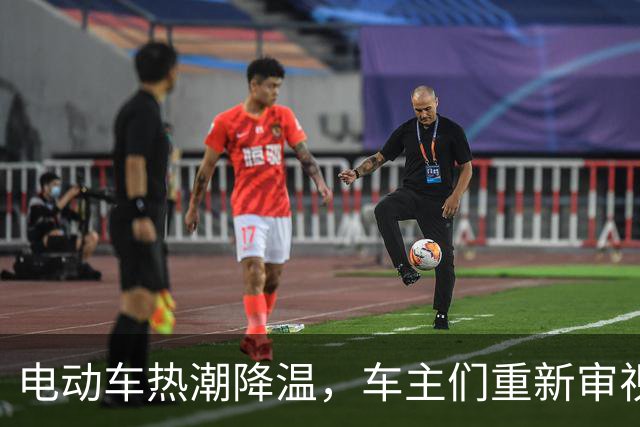 电动车热潮降温，车主们重新审视购车选择