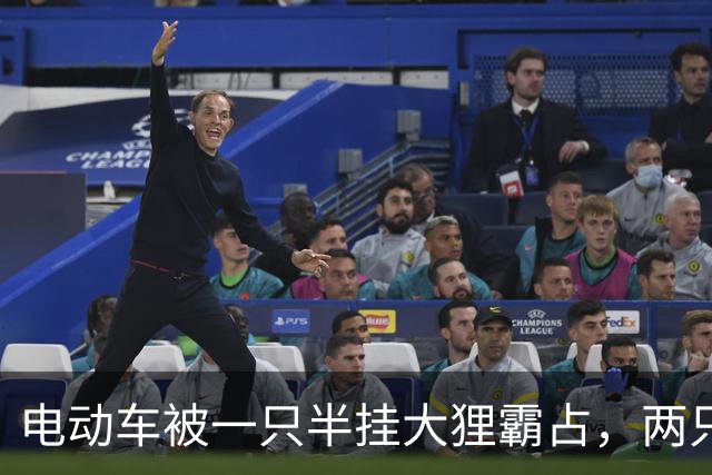 电动车被一只半挂大狸霸占，两只手都抓不下