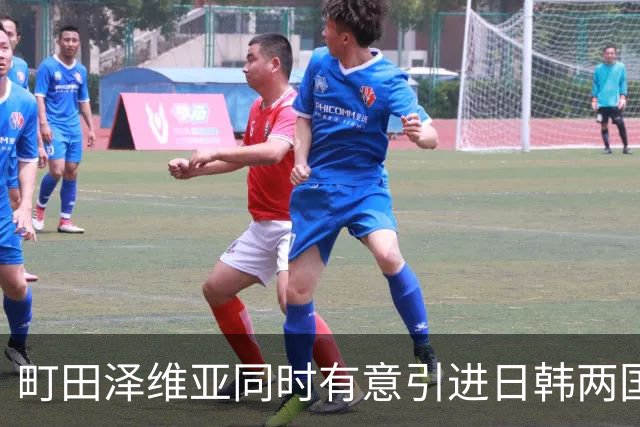 町田泽维亚同时有意引进日韩两国脚