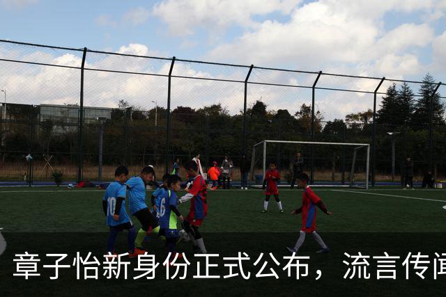 章子怡新身份正式公布，流言传闻不攻自破