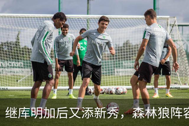 继库明加后又添新秀，森林狼阵容更快更具威胁