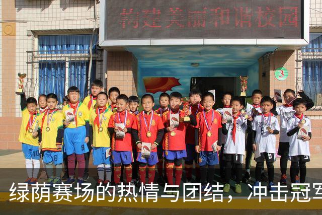 绿荫赛场的热情与团结，冲击冠军的旅程