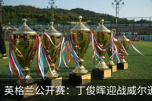 英格兰公开赛：丁俊晖迎战威尔逊，周跃龙对决卡特