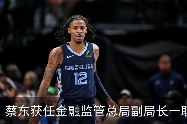 蔡东获任金融监管总局副局长一职