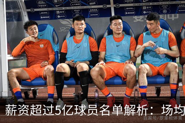 薪资超过5亿球员名单解析：场均收入对比