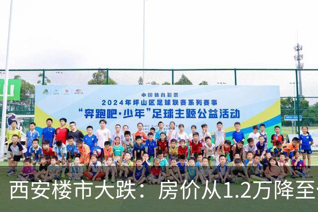 西安楼市大跌：房价从1.2万降至仅2954元