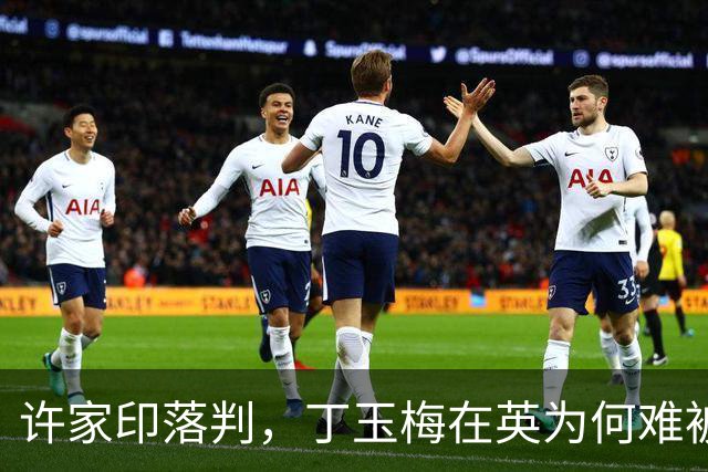 许家印落判，丁玉梅在英为何难被带回国
