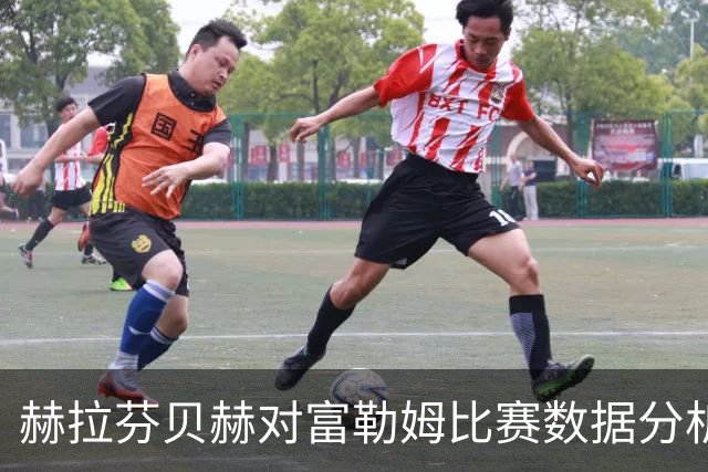 赫拉芬贝赫对富勒姆比赛数据分析