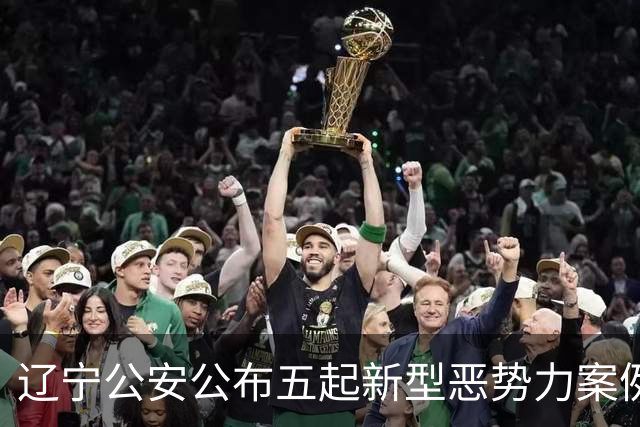 辽宁公安公布五起新型恶势力案例
