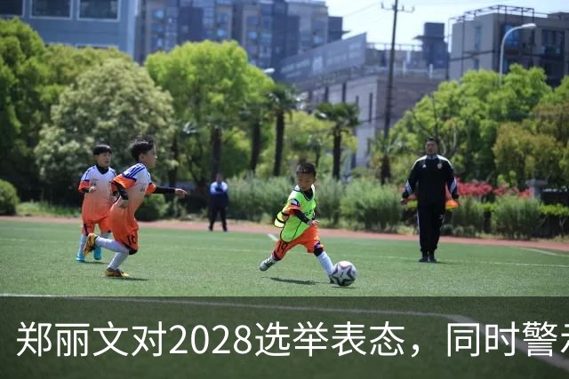 郑丽文对2028选举表态，同时警示台海局势严峻