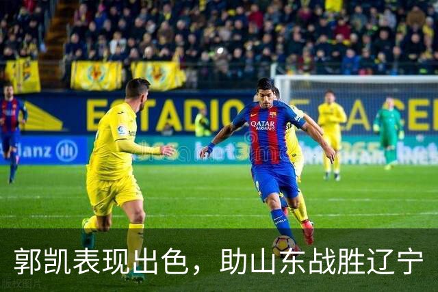 郭凯表现出色，助山东战胜辽宁