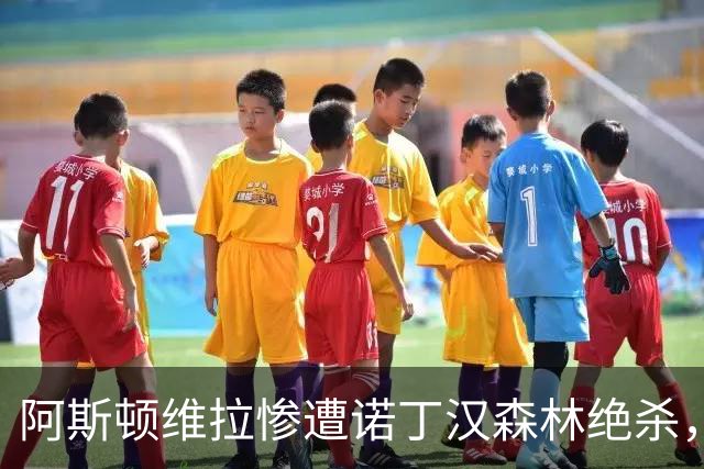 阿斯顿维拉惨遭诺丁汉森林绝杀，降级区待解困境