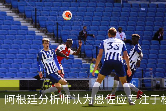 阿根廷分析师认为恩佐应专注于核心职责而非高位逼抢