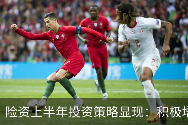 险资上半年投资策略显现：积极增持银行及高成长行业