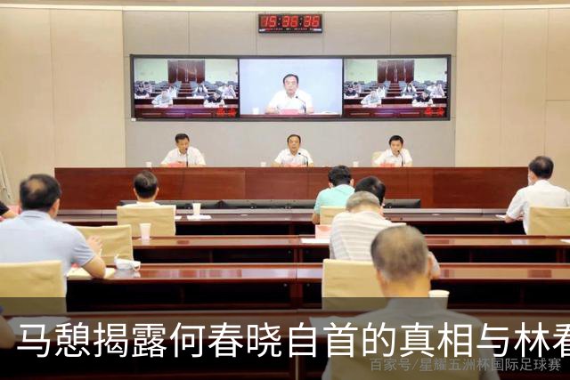马憩揭露何春晓自首的真相与林看山的灭口事件